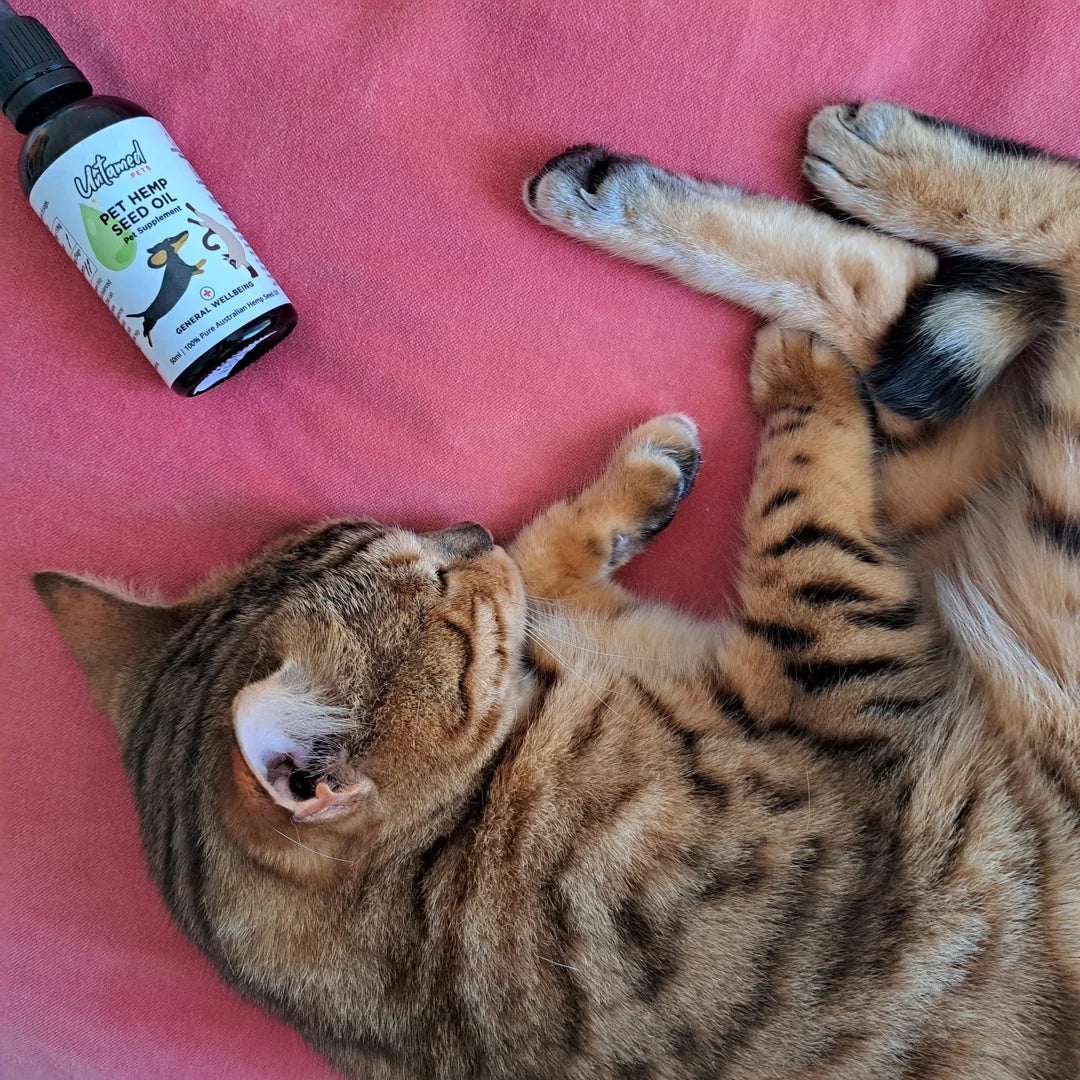 Pet Hemp Seeds Oil 50mL